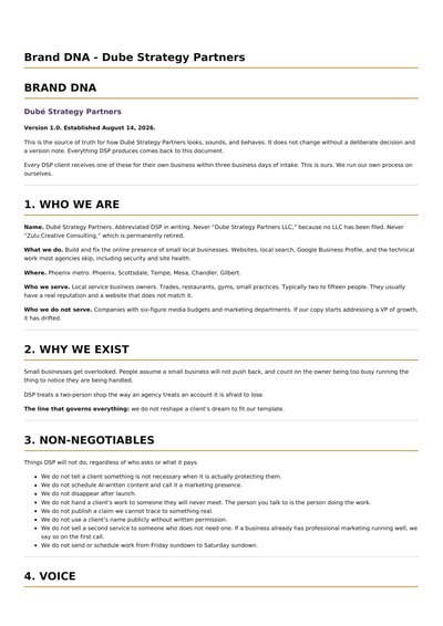 First page of the DSP Brand DNA document